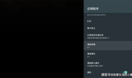 91看电视直播去广告版,畅享无干扰观影体验